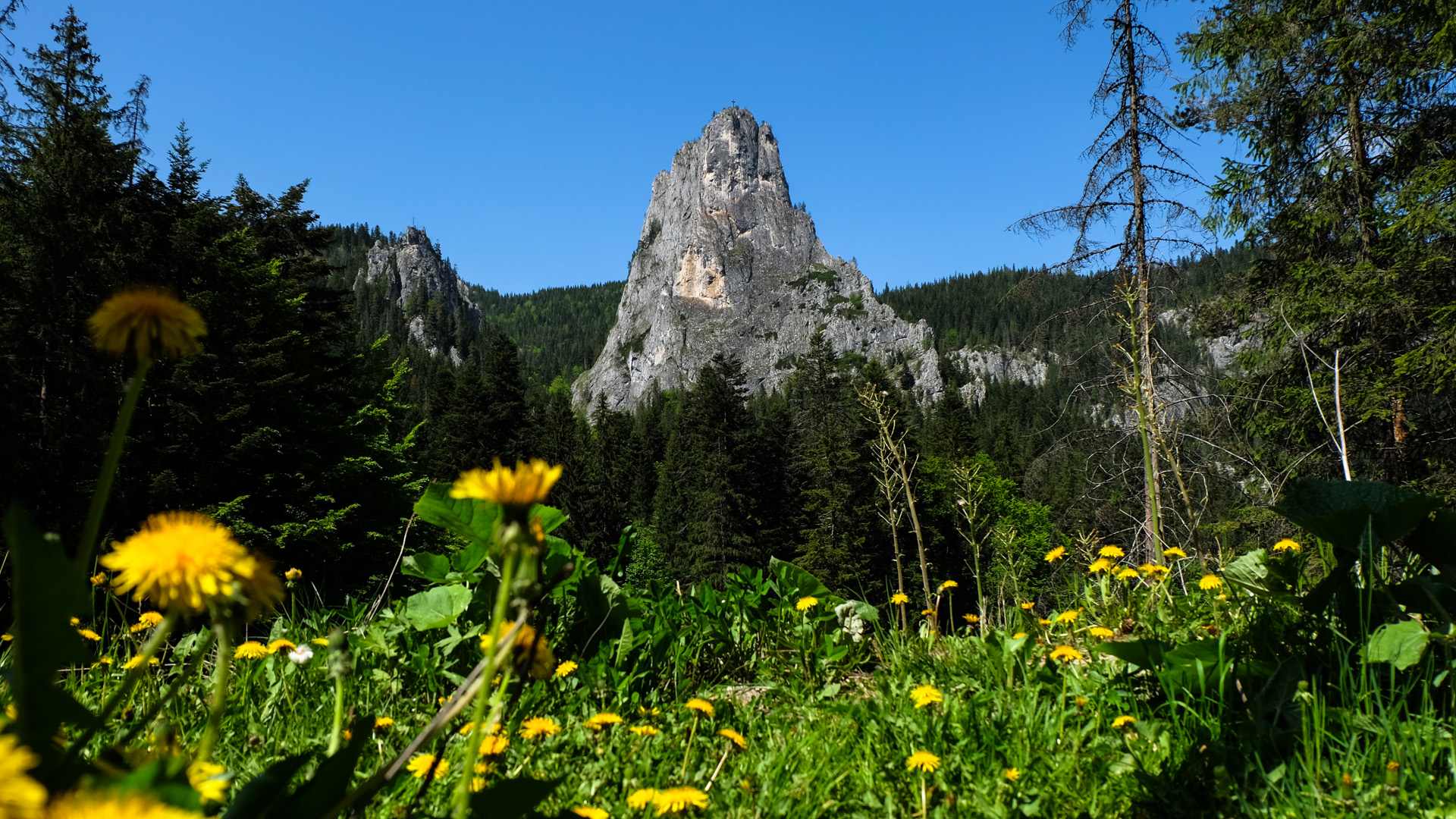 romania national parks
