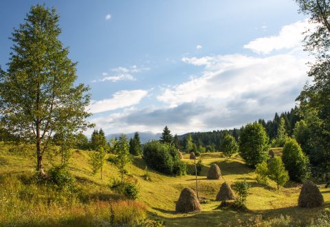 Romania budget tour 7  Days