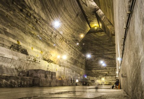 Wine tasting & salt mine - 1 day