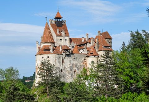 Two famous castles - Private tour
