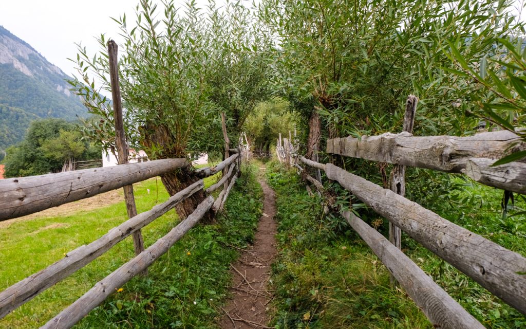 Magura Village romanian villages