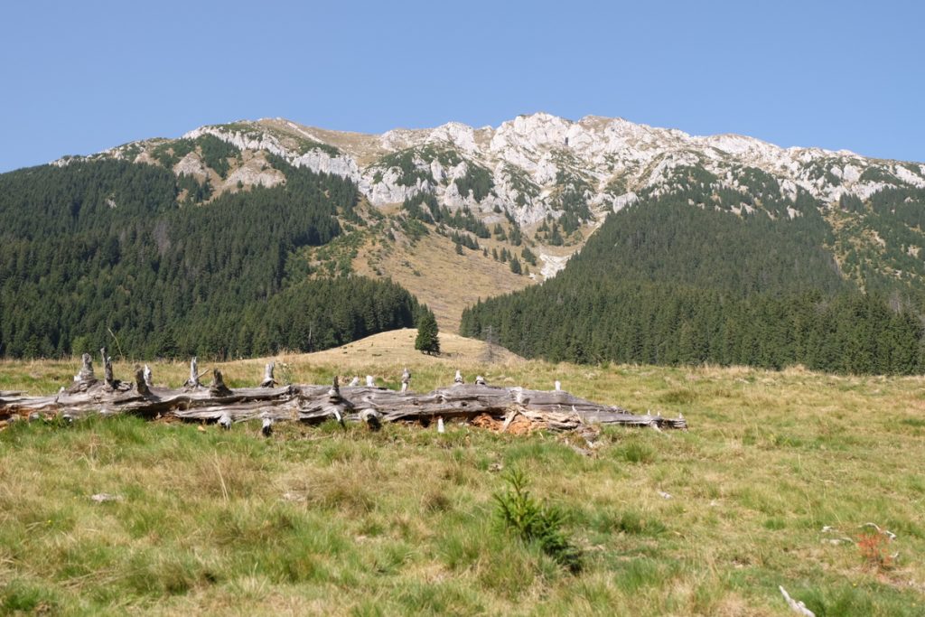 Hiking Piatra Craiului