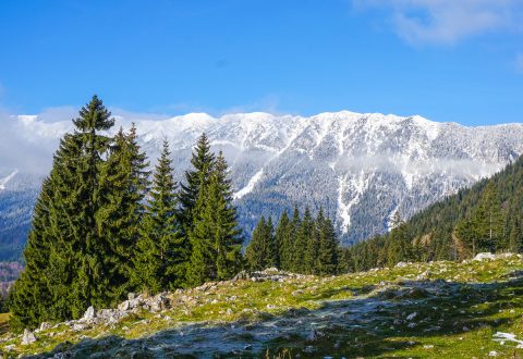 Carpathian Mountains winter hiking tour - 2 Days