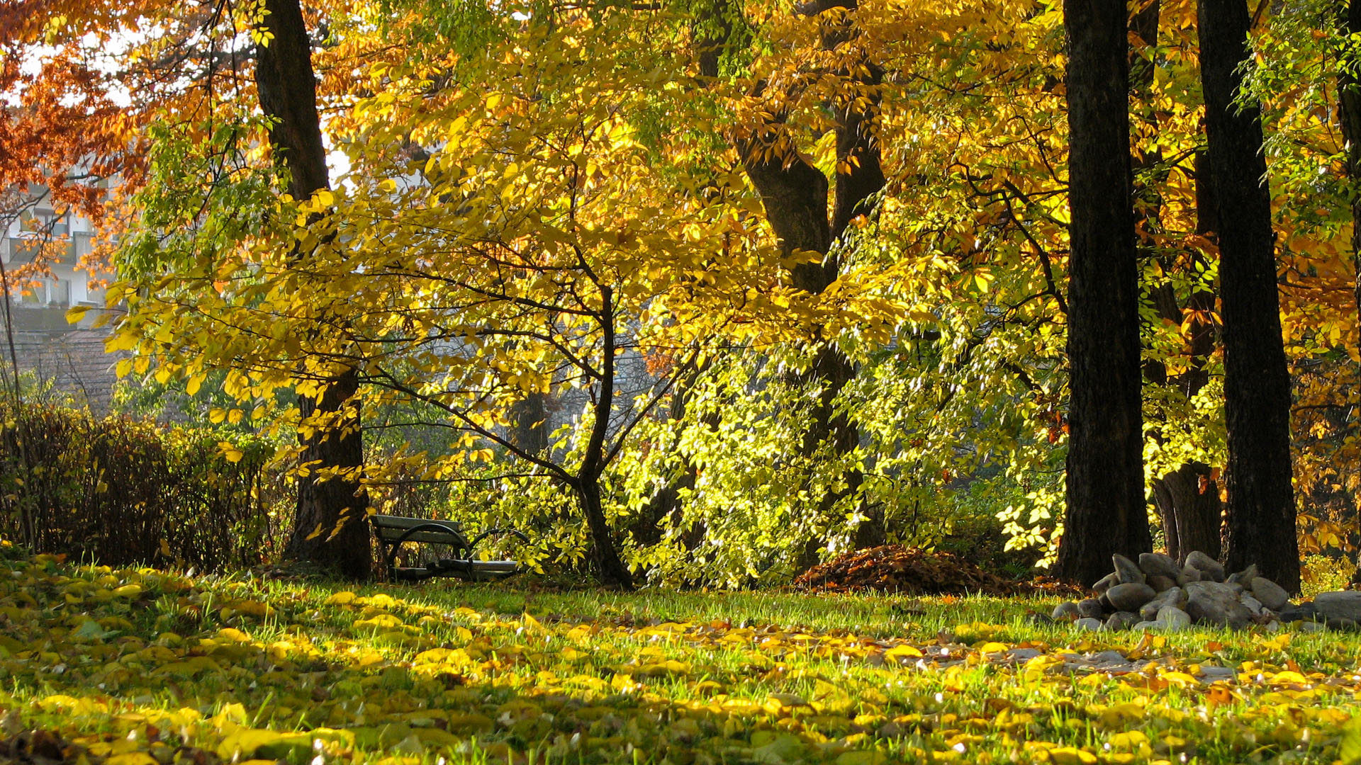 tourist attractions in Transylvania