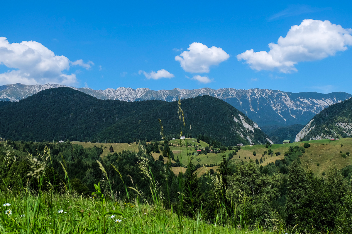 Instagram pictures in Romania