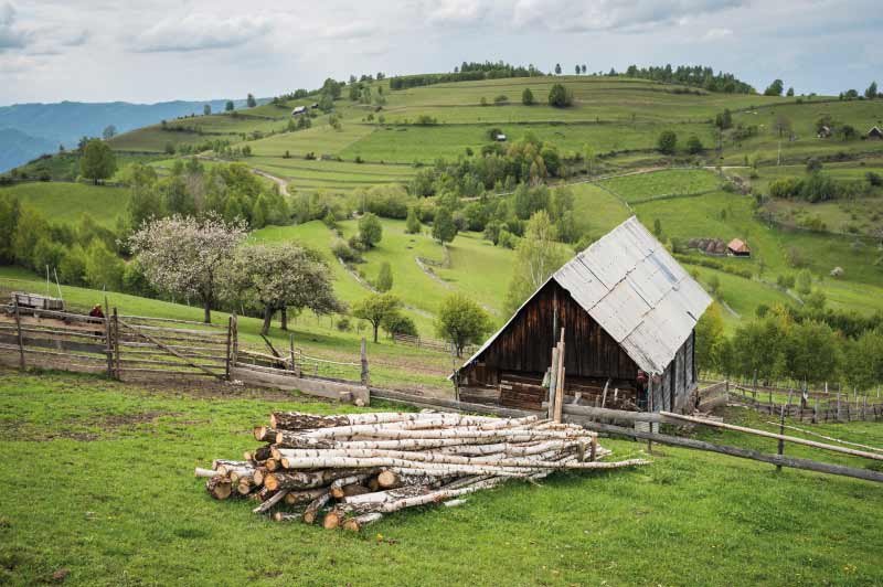 jina shepherd village sibiu