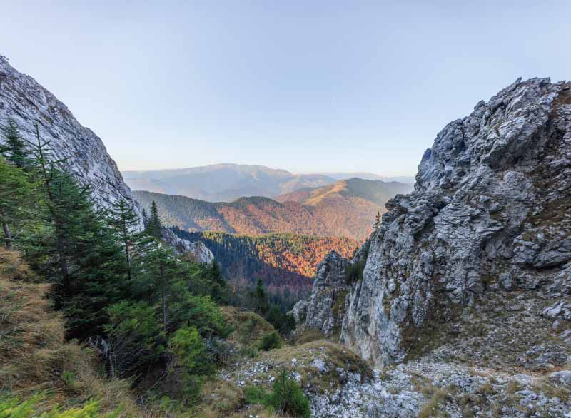 piatra craiului romania